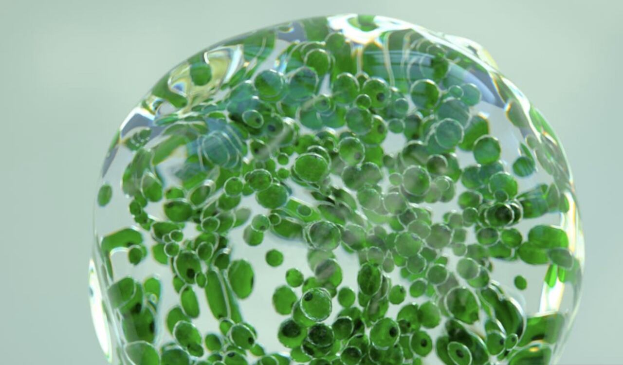 El hidrógeno verde traería grandes beneficios para la economía del país