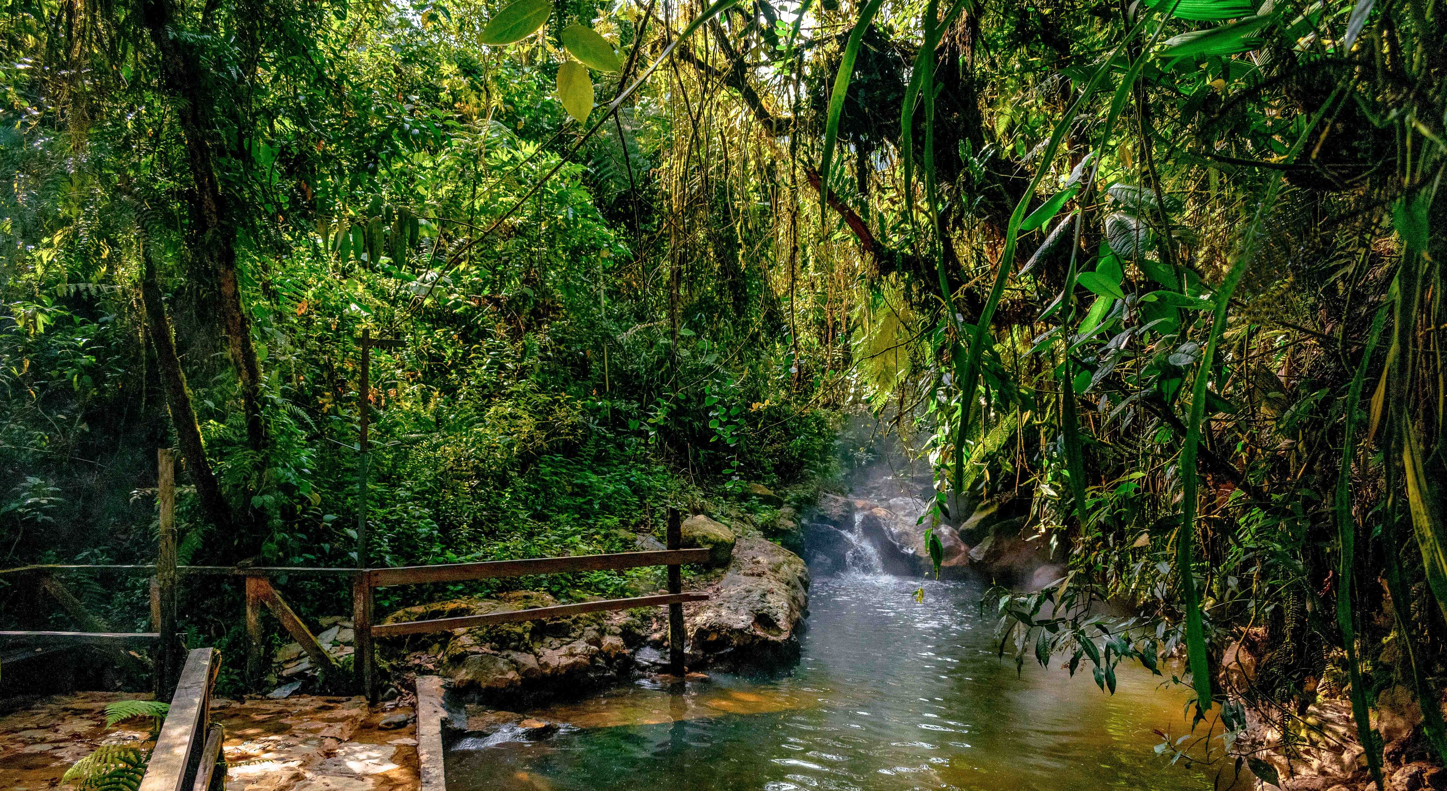 San Vicente cuentan con cascadas naturales y senderos para caminatas.