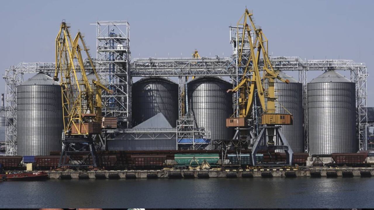 Precios de cereales han comenzado a bajar tras el inicio de la reactivación de las exportaciones de Ucrania.