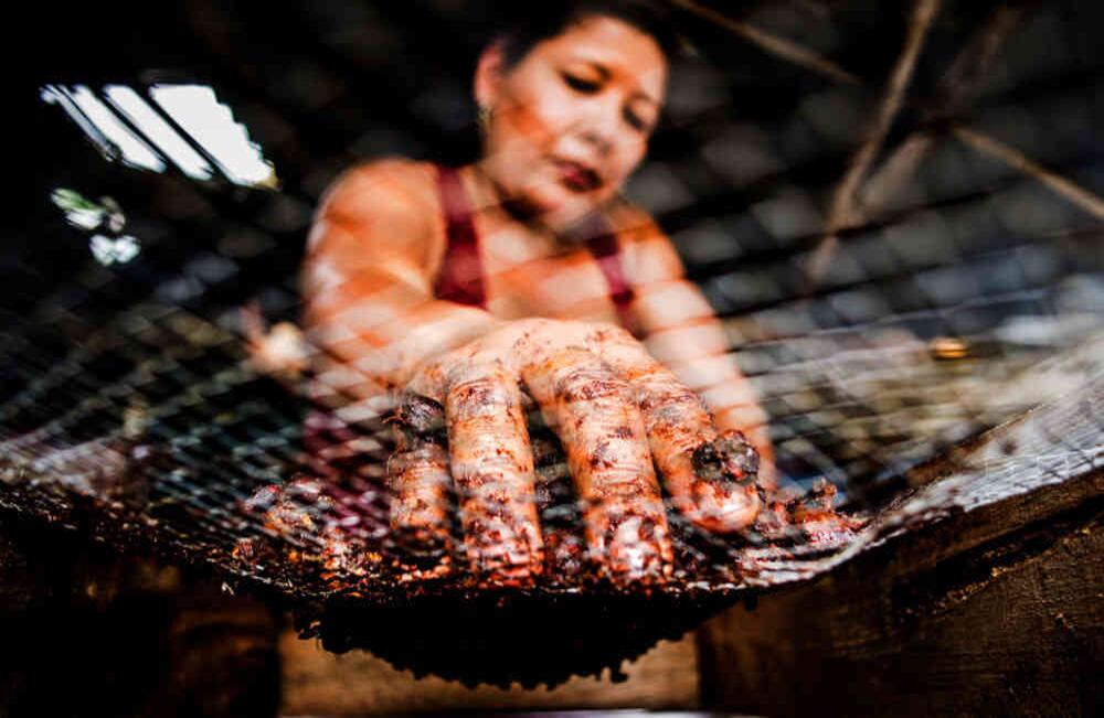 Preparación de dulces de tamarindo en Antioquia. Foto: Diego Zuluaga