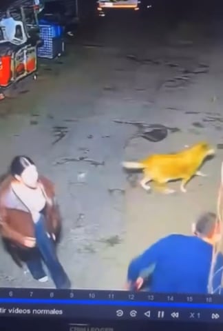 Posible caso de violencia contra modelo.