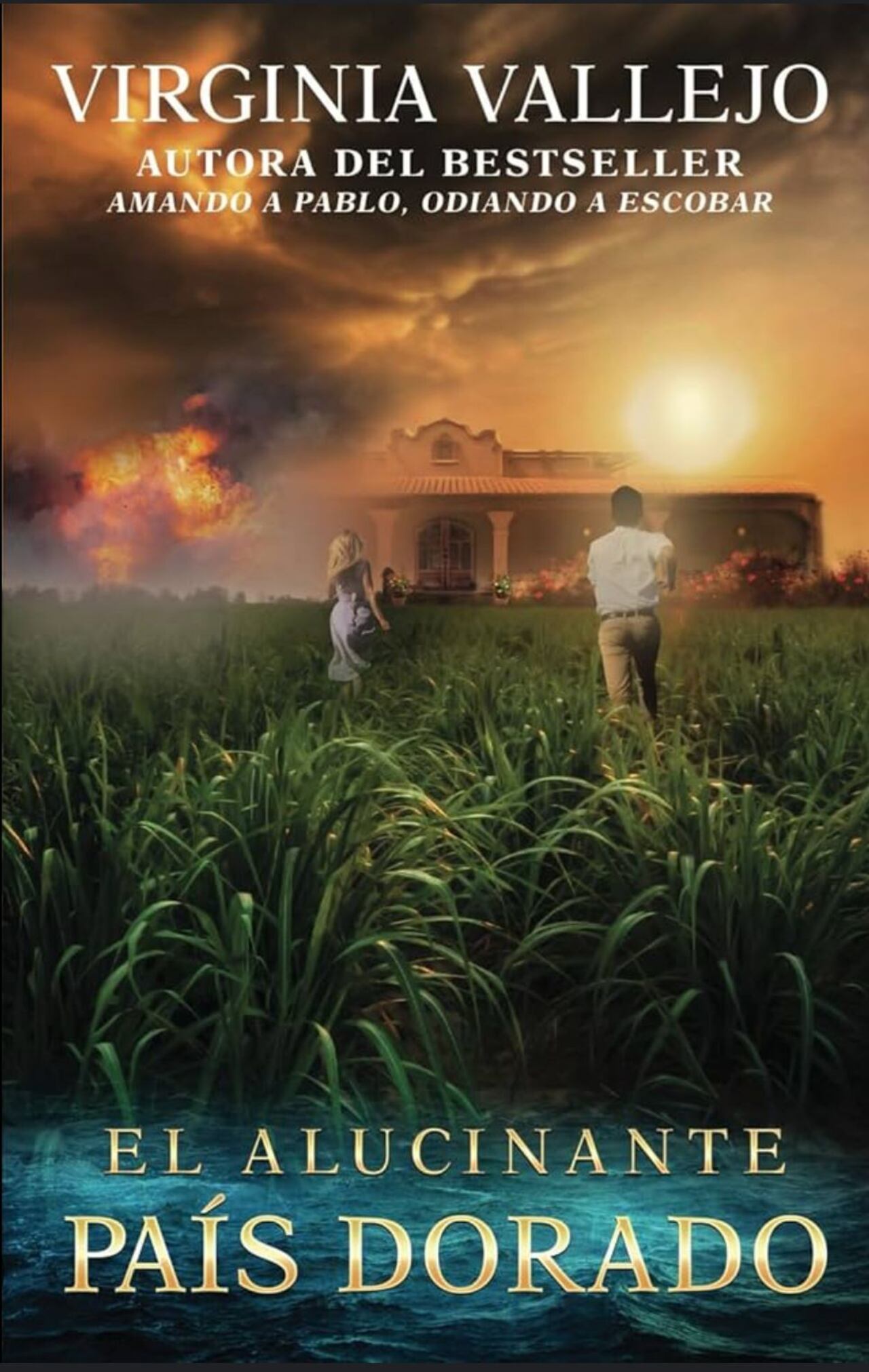 Este es el nuevo libro de Virginia Vallejo. Ella habló con SEMANA de las 400 páginas de esta novela de ficción.