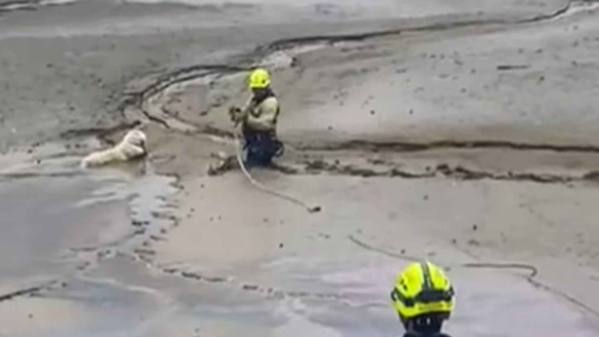 Rescate perro atrapado en Guatapé.