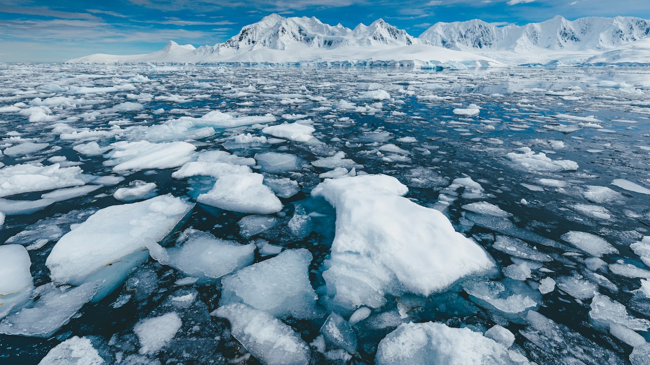 El Océano Antártico se enfría por el deshielo y el aumento de precipitaciones, según científicos.