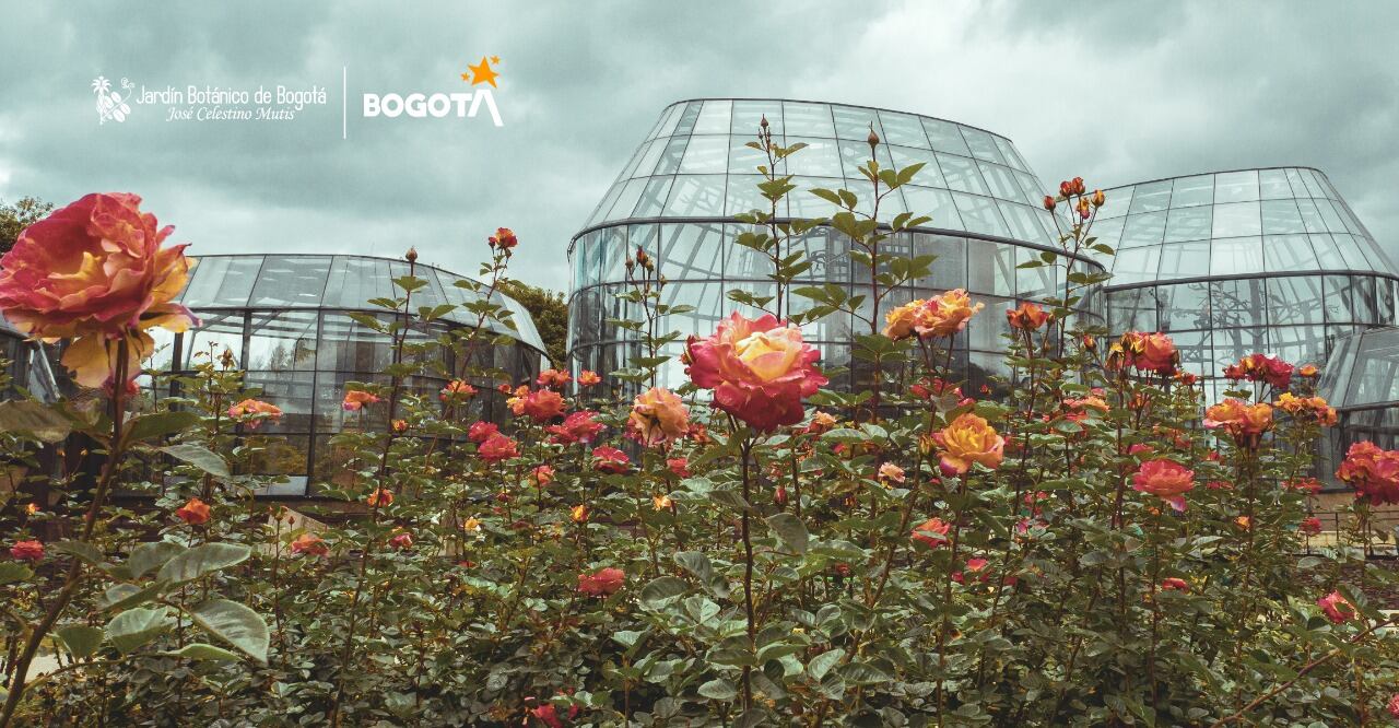 La entidad recibió la notificación el 18 de enero de este año.