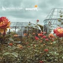 La entidad recibió la notificación el 18 de enero de este año.