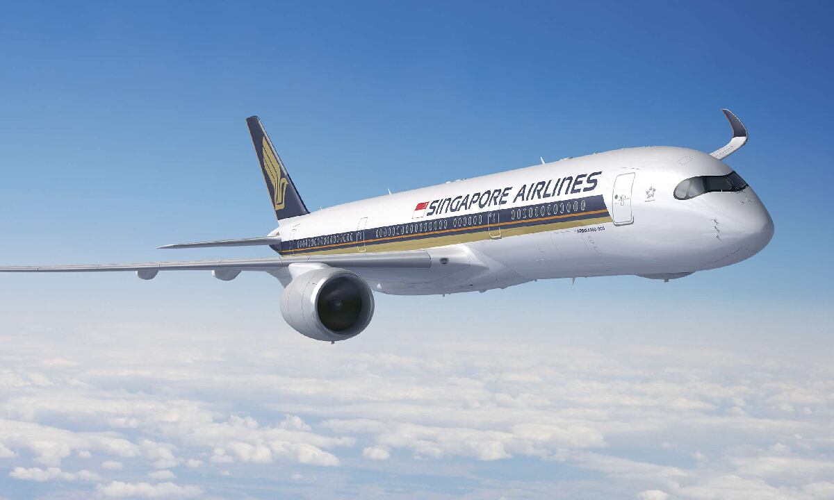 Debido a sus particularidades, el vuelo solo cuenta con clases premium y negocios para que el vuelo no sea incómodo para sus pasajeros.