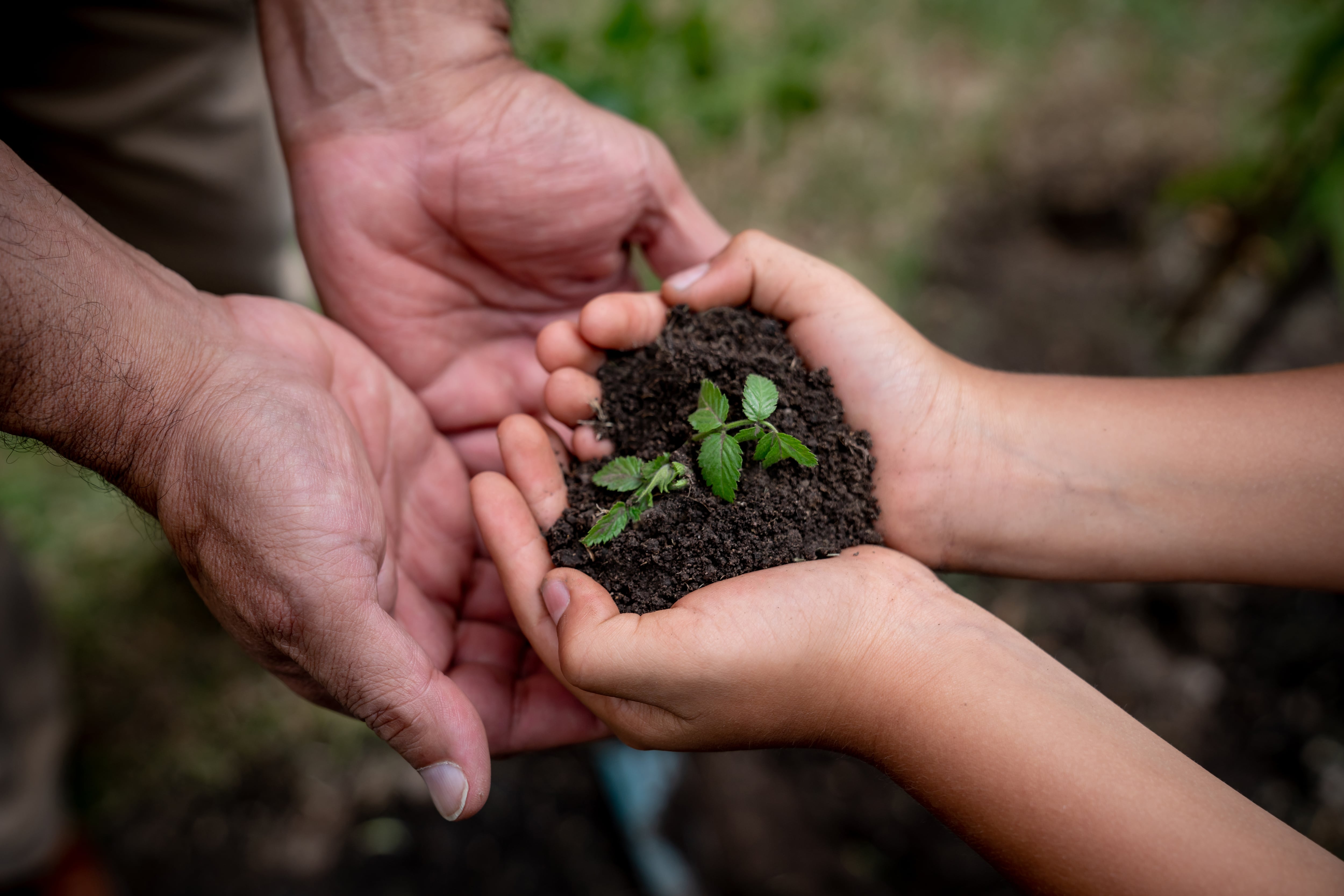 La responsabilidad social dentro de las compañías se convirtió en una nueva forma de hacer negocios en la que se encuentra un balance entre el crecimiento económico, el bienestar social y el aprovechamiento responsable de los recursos medioambientales.
