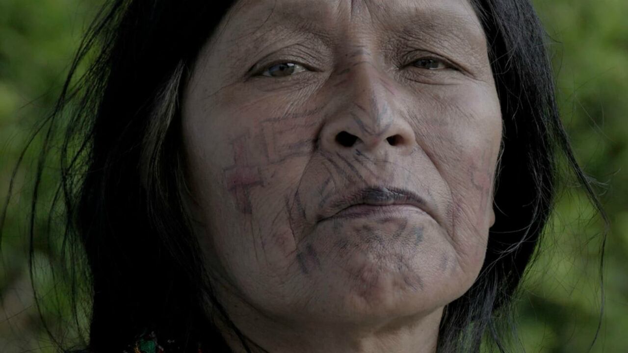 Sobre la imagen de la película, los realizadores del documental "El segundo entierro de Alejandrino" comentan: "El retrato es de Gilma Carupia Bailarín, quien nos acompañó en esta aventura documental que tuvo origen en lo profundo de la selva del Resguardo Indígena Embera Eyabida de Andabú en Urrao - Antioquia - Colombia".