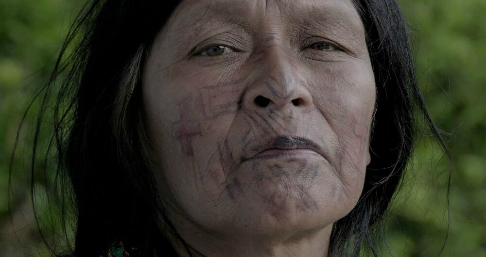 Sobre la imagen de la película, los realizadores del documental "El segundo entierro de Alejandrino" comentan: "El retrato es de Gilma Carupia Bailarín, quien nos acompañó en esta aventura documental que tuvo origen en lo profundo de la selva del Resguardo Indígena Embera Eyabida de Andabú en Urrao - Antioquia - Colombia".