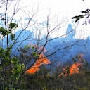 Incendio forestal en el cerro de la Bandera al sur de Cali consume varias hectáreas de bosques.