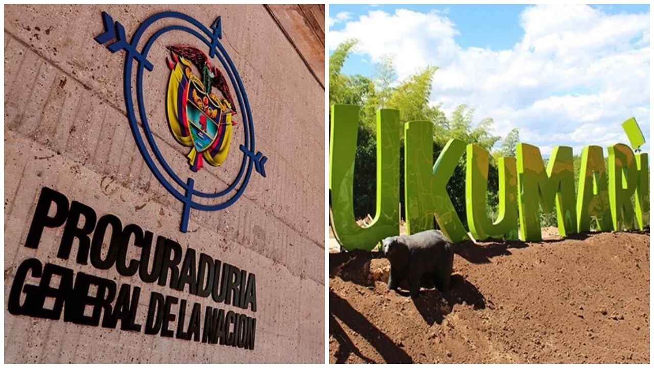 Bioparque Ukumarí deberá dar explicaciones a la Procuraduría sobre muerte de los chimpancés