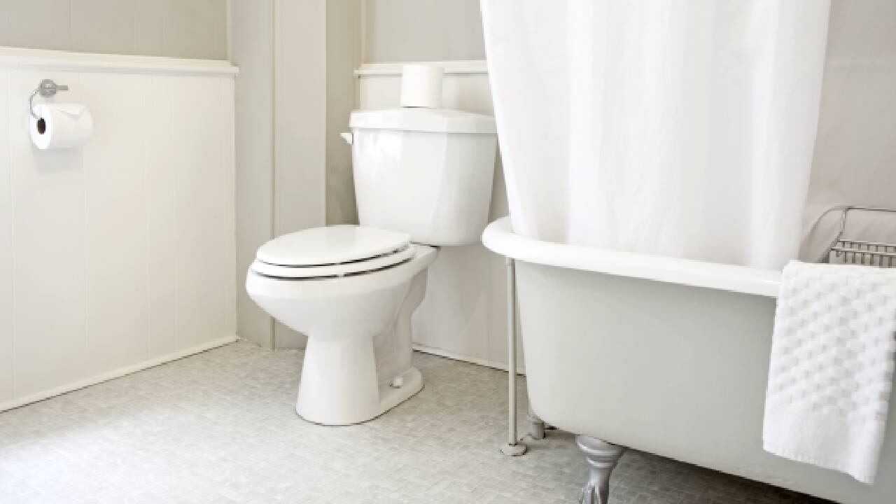 Algunos internautas respaldaron las estrategias de esta joven (imagen referencia de inodoro).