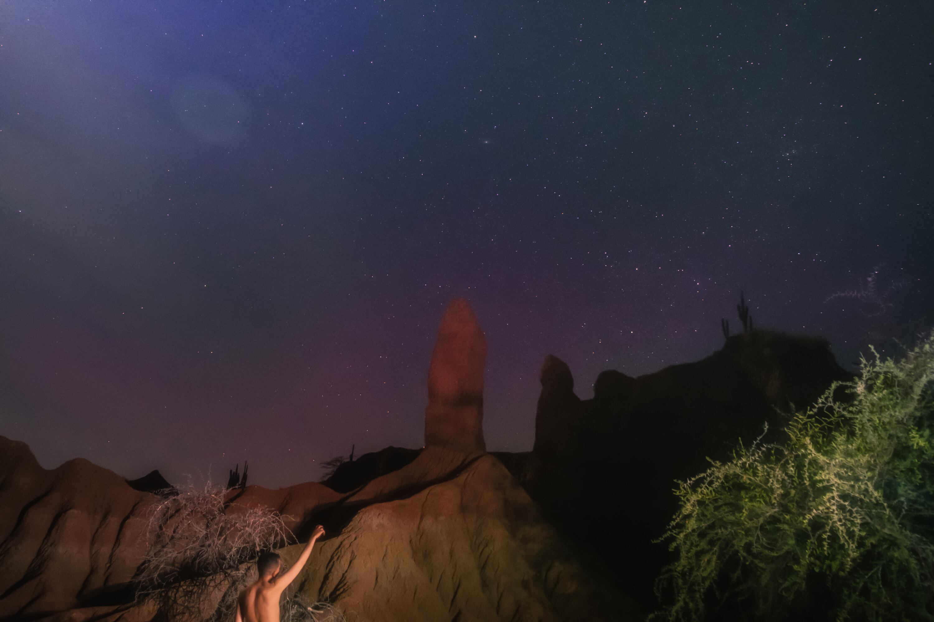 Considerado uno de los premios más importantes de fotografía, el Sony World Photography Awards 2021 celebró su edición número 14 con más de 300 mil participantes.