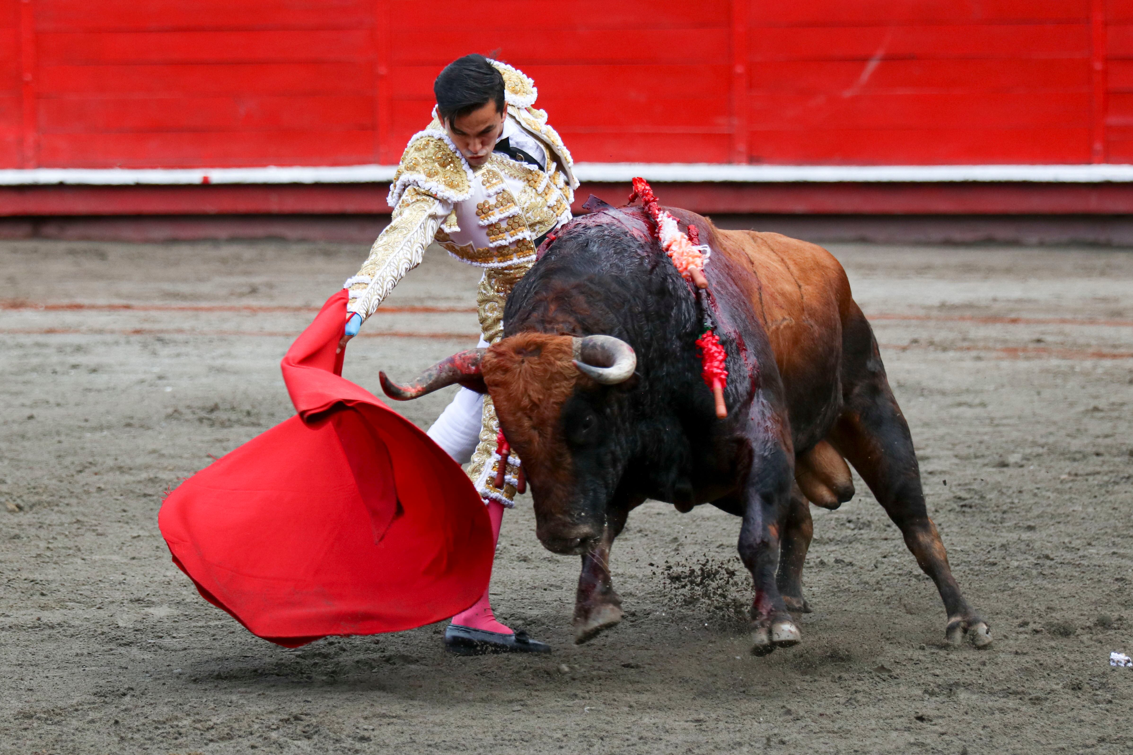 Sebastián Hernández. Torero colombiano. Temporada Taurina de Manizales 2023.