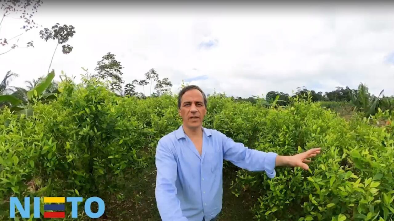 Rafael Nieto, precandidato presidencial.