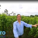 Rafael Nieto, precandidato presidencial.