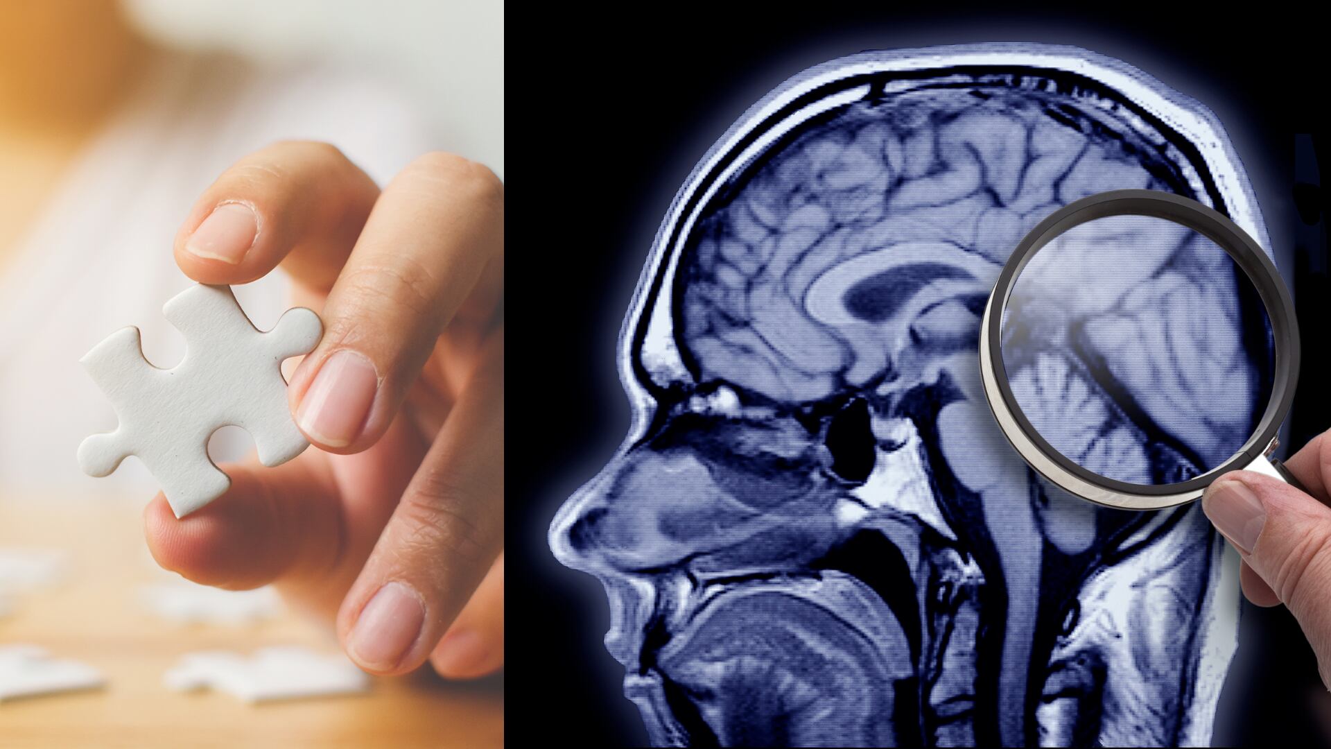 Las tareas cotidianas favorecen el cerebro.