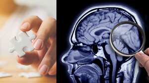 Las tareas cotidianas favorecen el cerebro.