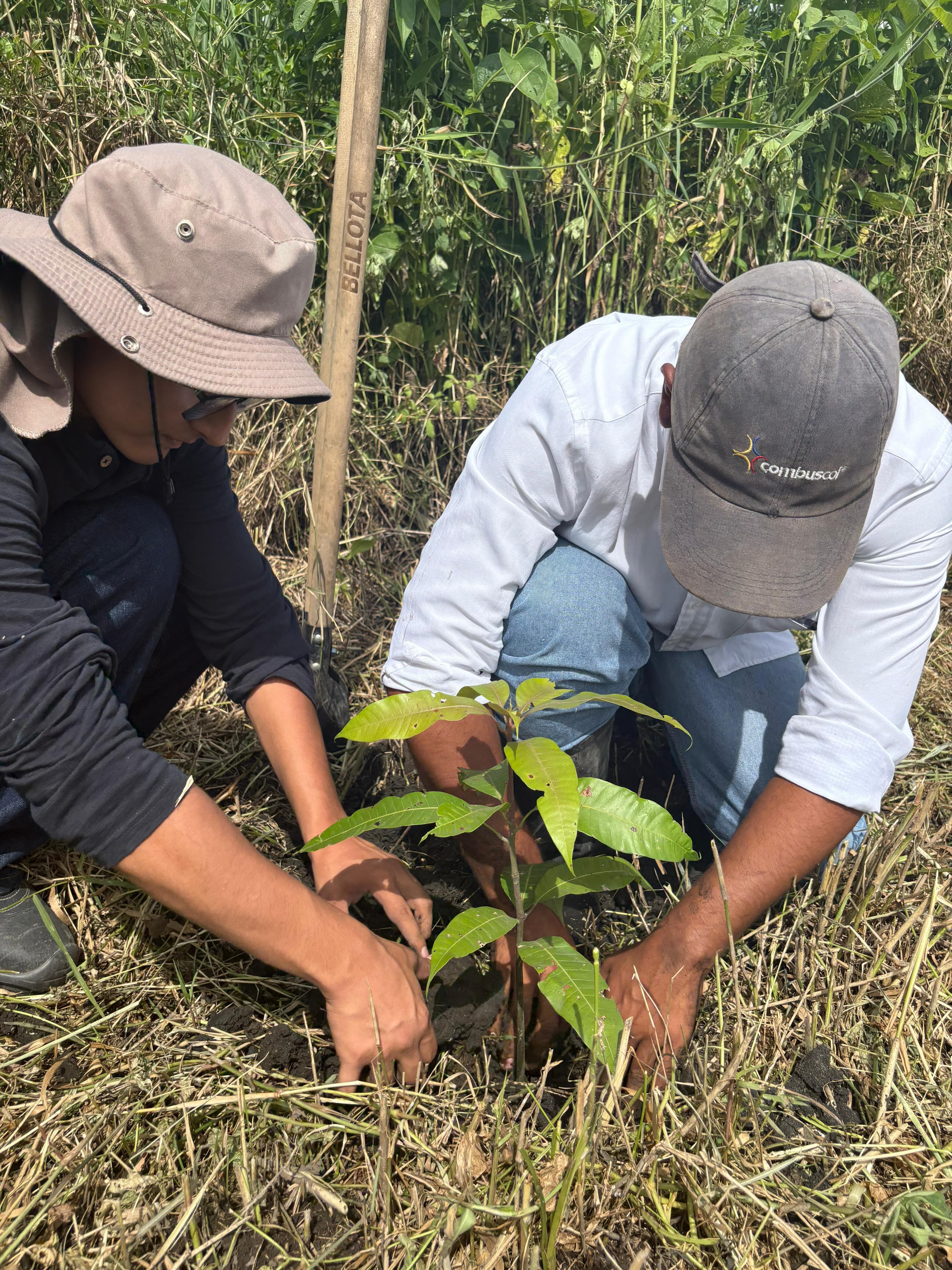 RIOPAILA CASTILLA - VIII Cumbre de Sostenibilidad - SEMANA Sostenible