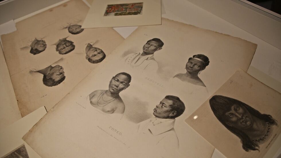 PALIMPSESTOS Imágenes del viejo “Nuevo Mundo” es la primera exposición del 2024 en el MAV.