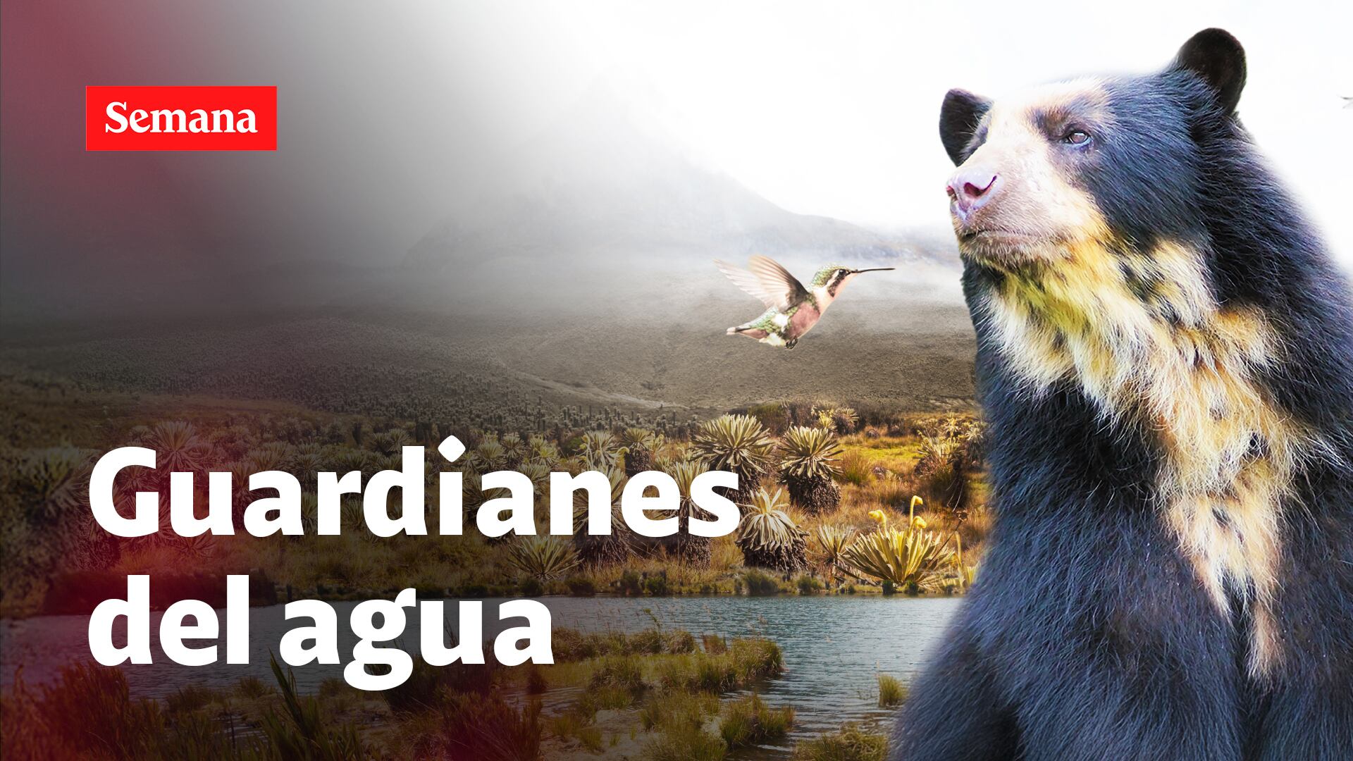 Foro 'Páramos: guardianes del agua y la vida'