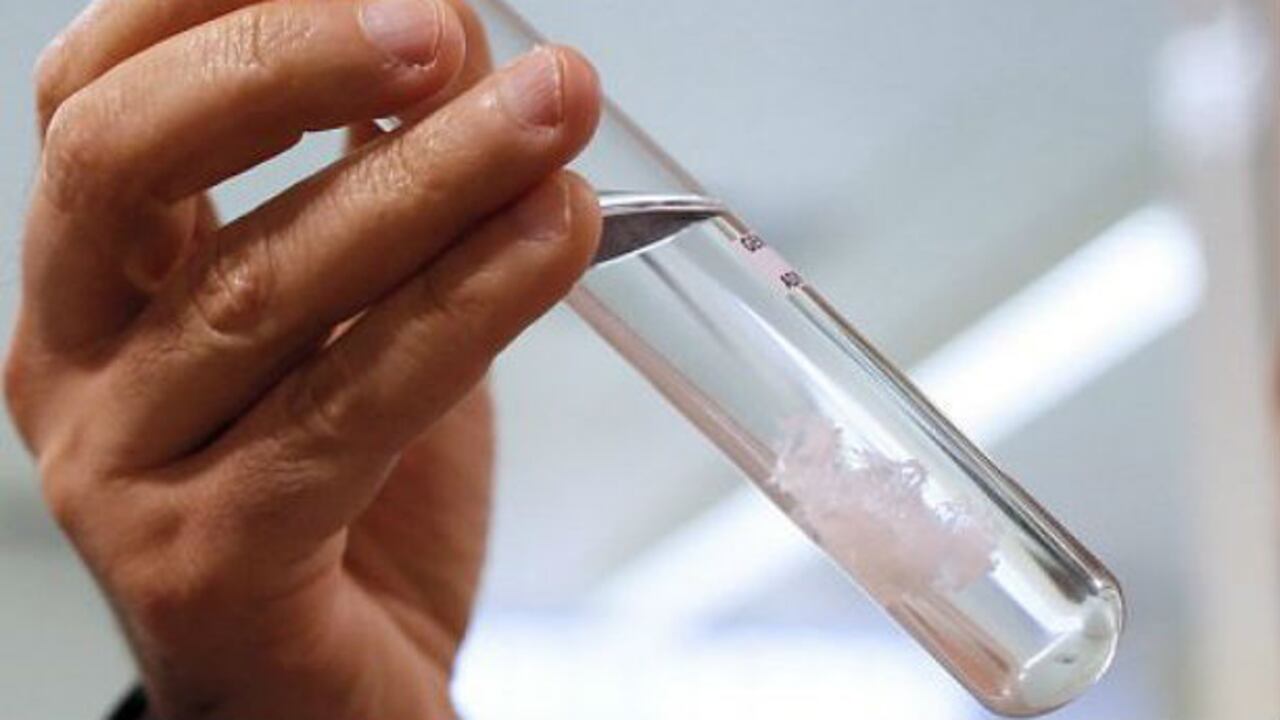 La empresa Myriad Genetics patentó dos genes que permiten identificar el cáncer de mama y el de ovario.