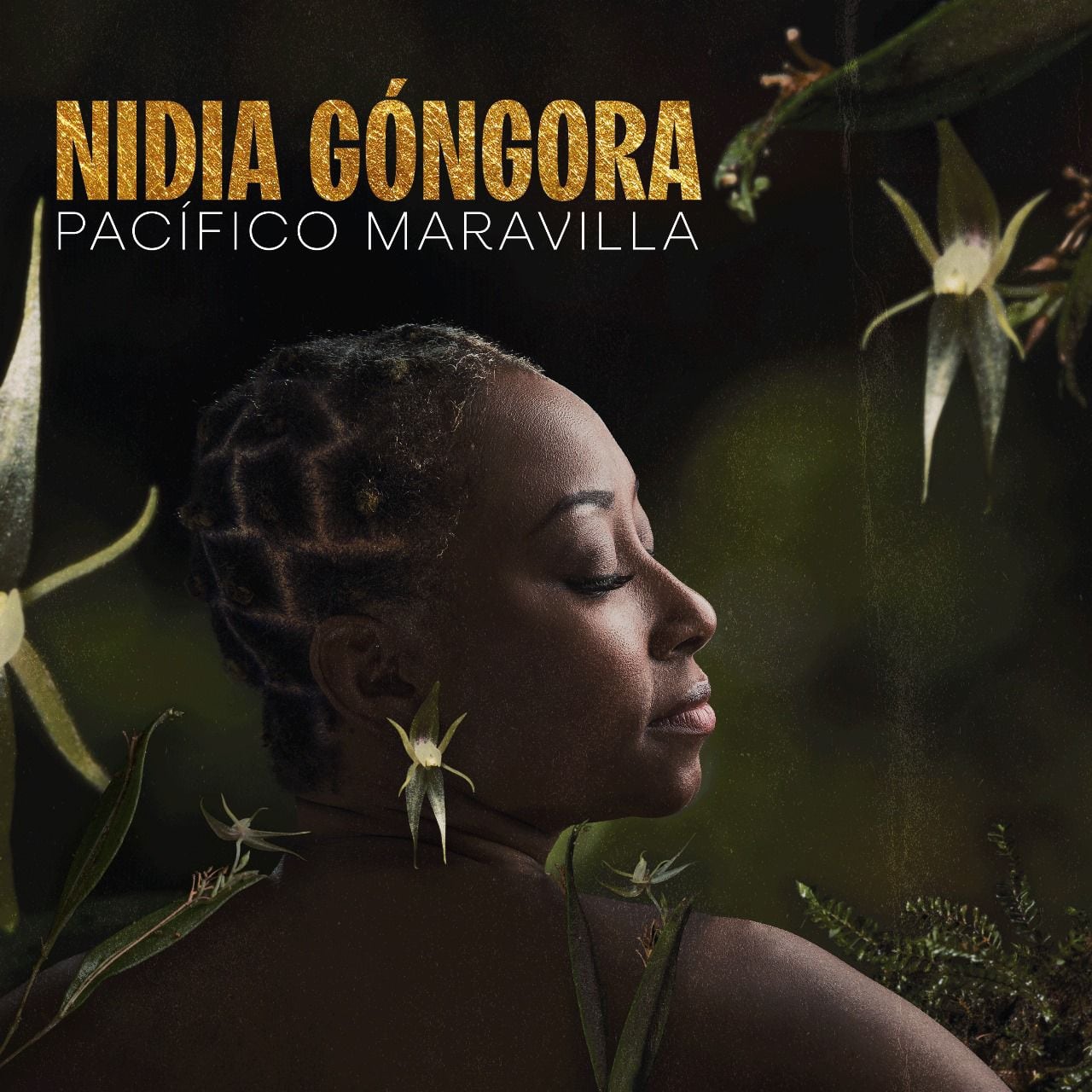 Nidia Góngora estrena su primer álbum como solista: 'Pacífico maravilla'.