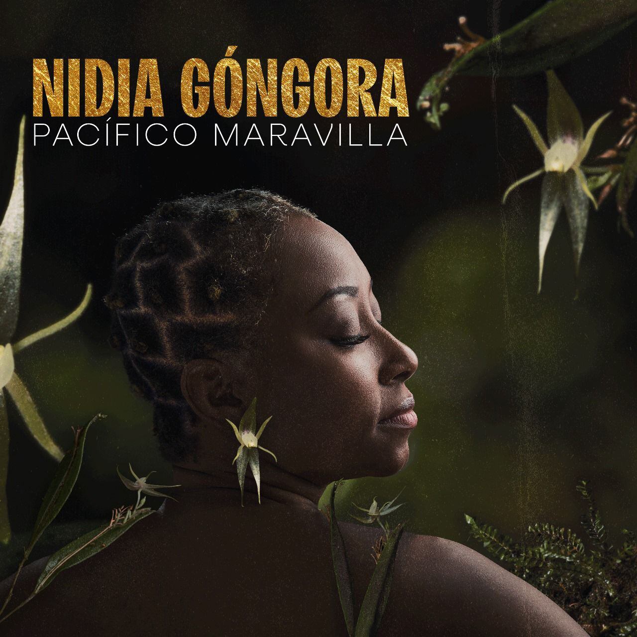 Nidia Góngora estrena su primer álbum como solista: 'Pacífico maravilla'.