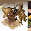 El método casero para rescatar una orquídea y lograr una floración más saludable.