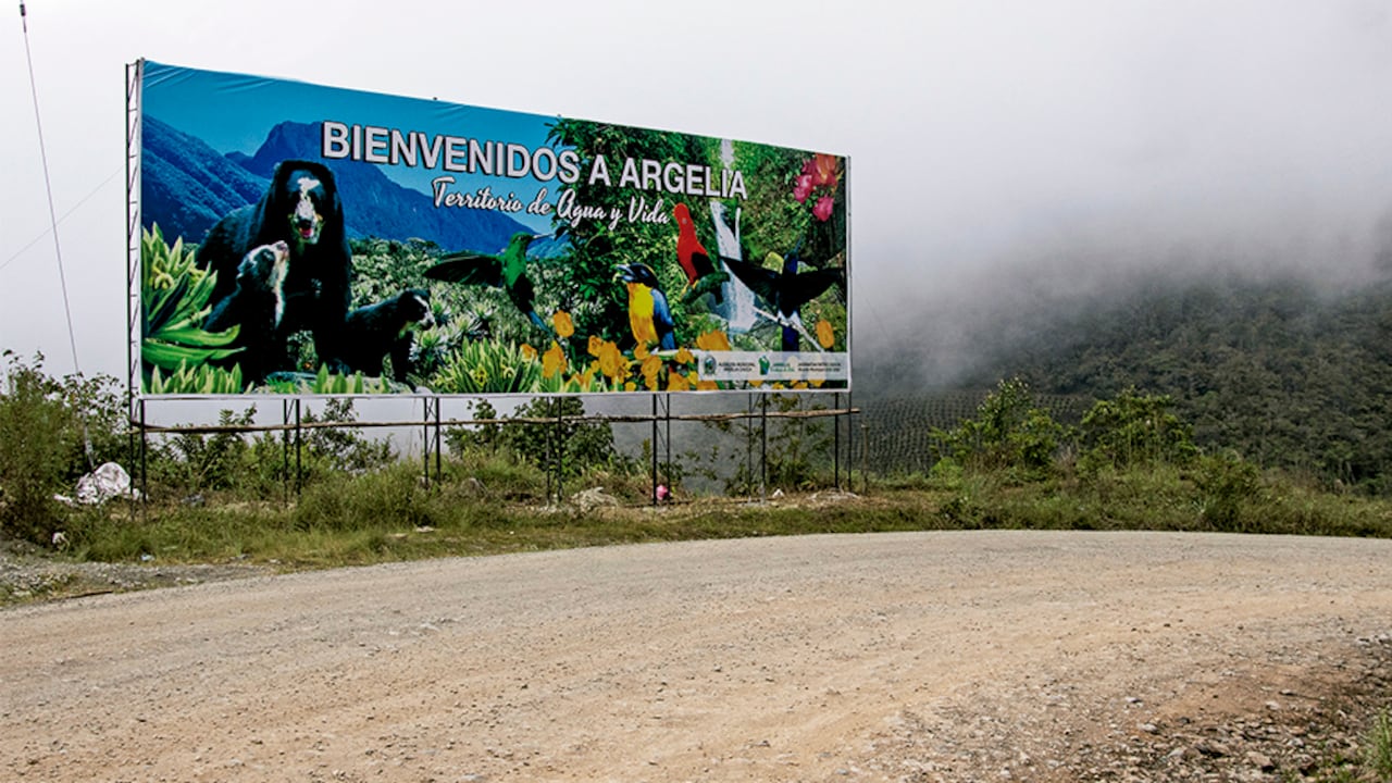 El Gobierno local de Argelia pide más acompañamiento del Gobierno nacional para hacerle frente a esta situación.