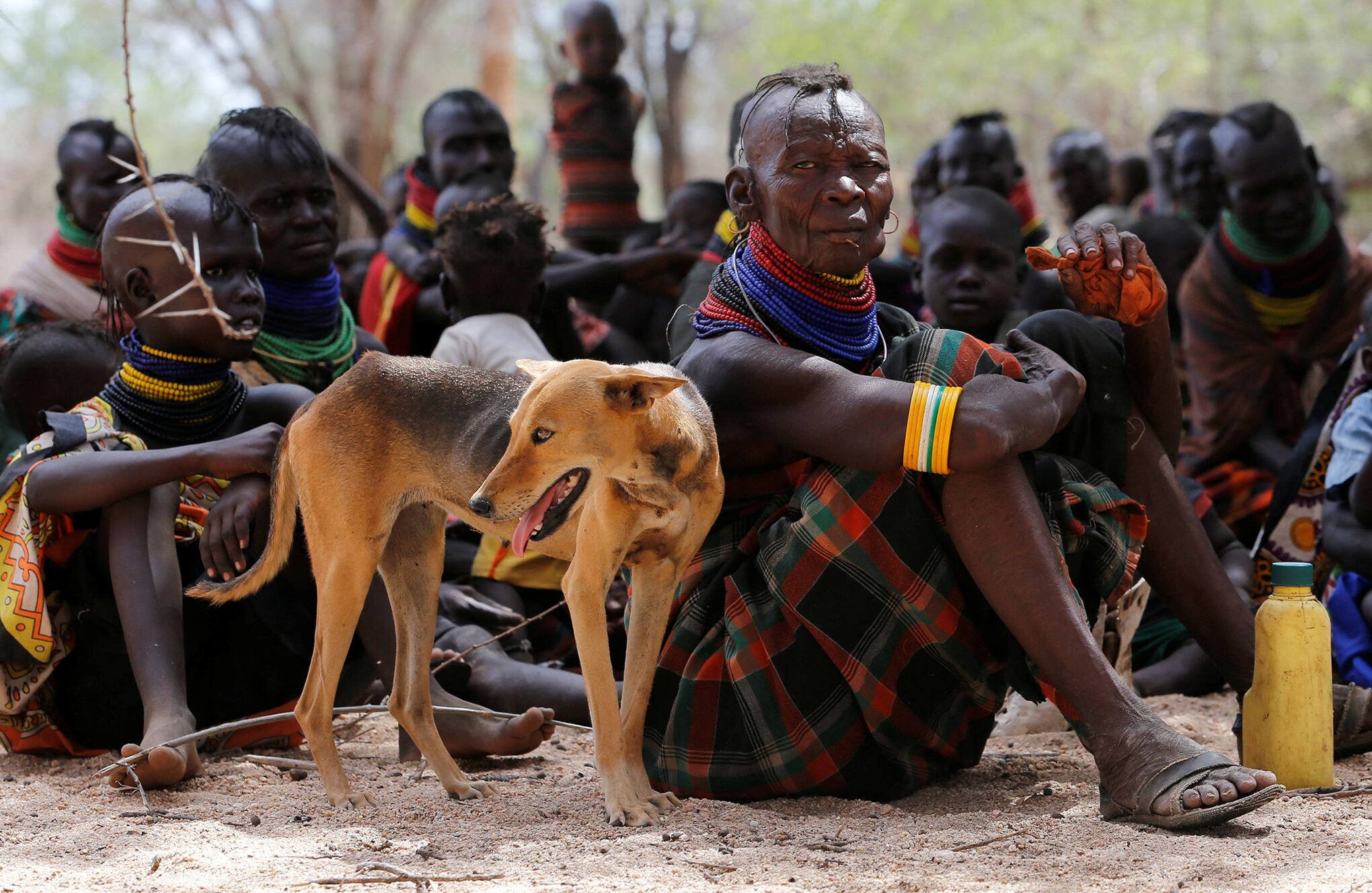 En imágenes : Kenia enfrenta una crisis de hambre mientras la sequía acaba con el ganado