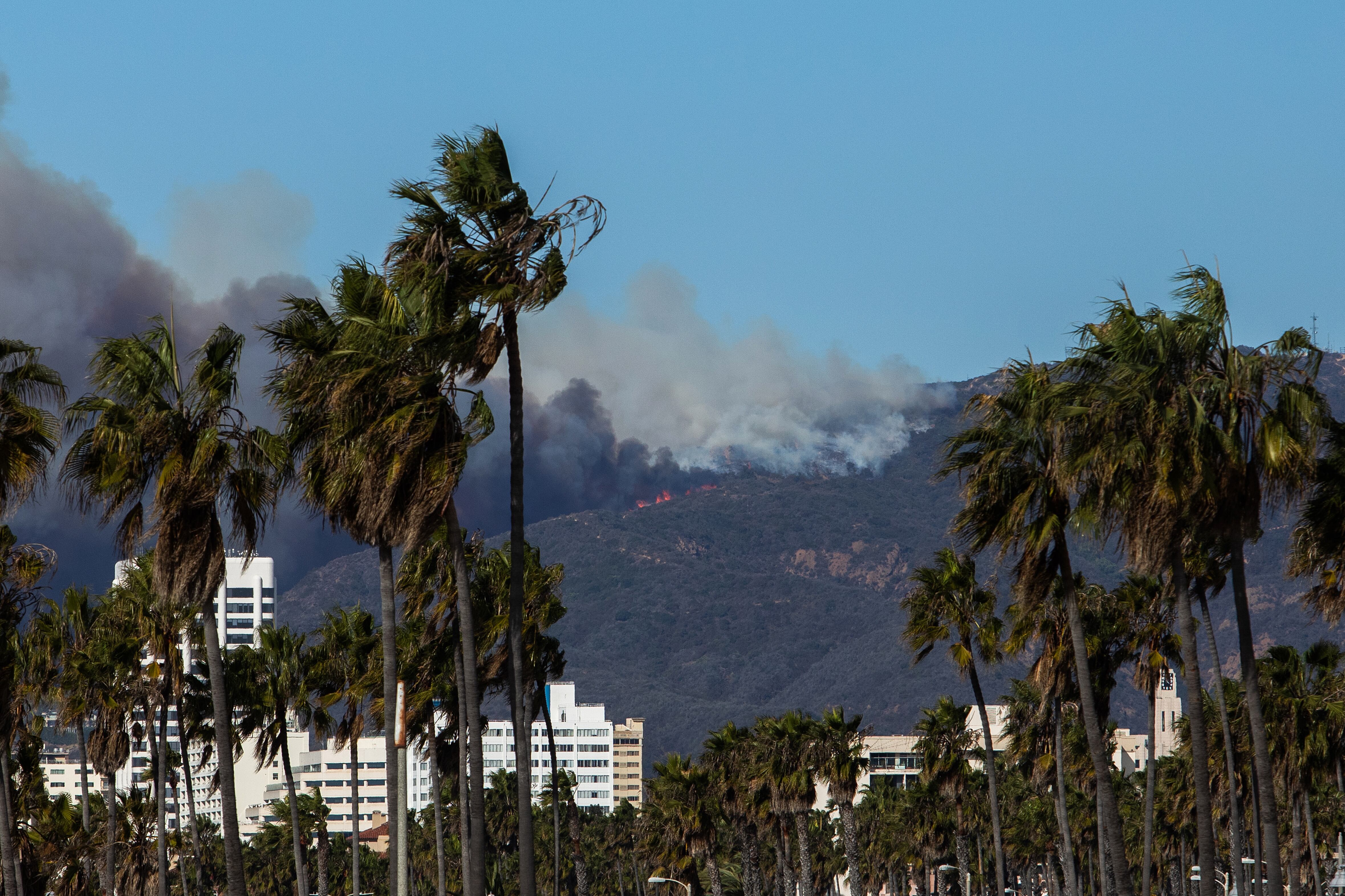 Un avión de bomberos lanza el retardante de fuego Phos-Chek mientras el incendio Palisades arde en medio de una poderosa tormenta de viento el 7 de enero de 2025 en el vecindario de Pacific Palisades, en Los Ángeles, California.