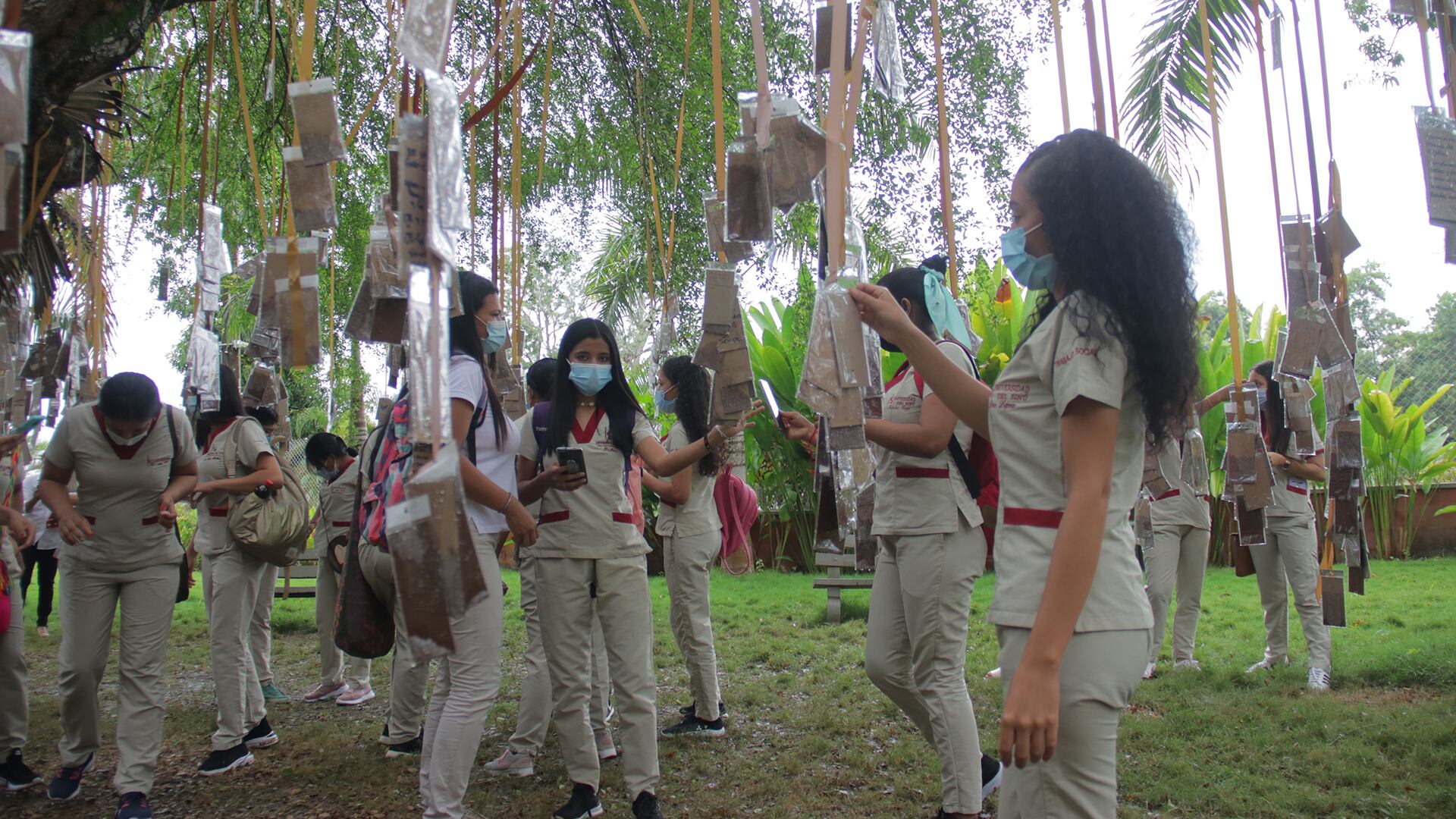 Especial Caribe, Unisinú