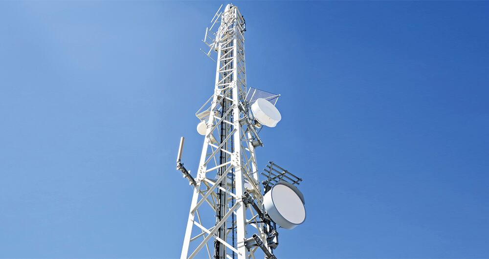 Están tejiendo la red_4