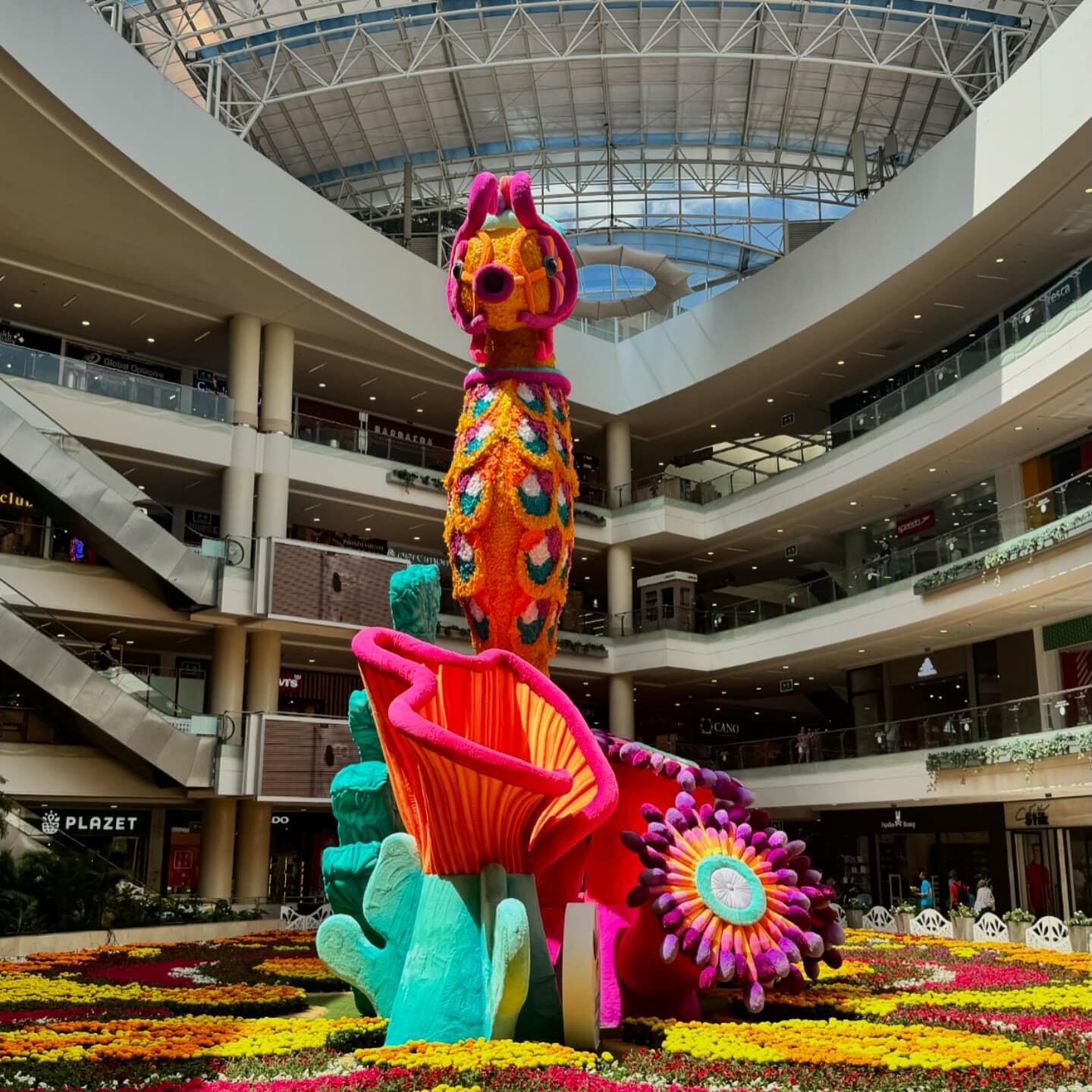 La escena con el caballito de mar y los corales busca generar conciencia sobre la importancia del agua y el cuidado de la vida marina.