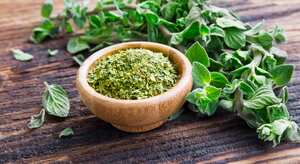 Fresh and dried oregano herb on wooden background