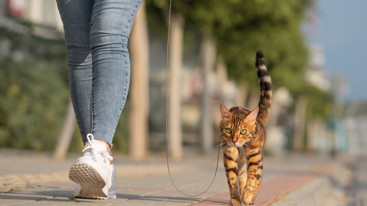 Tenga en cuenta la sanción que puede afrontar.