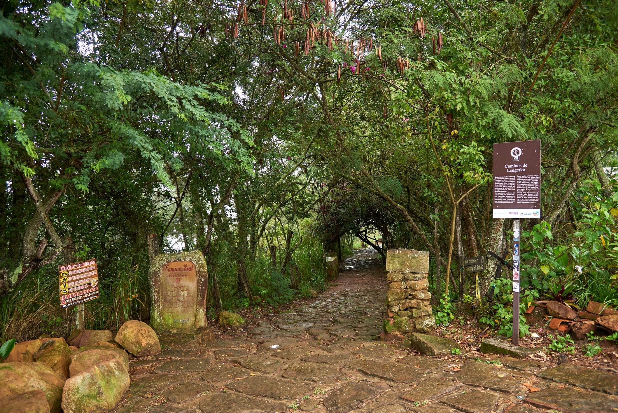 Camino de lengerke