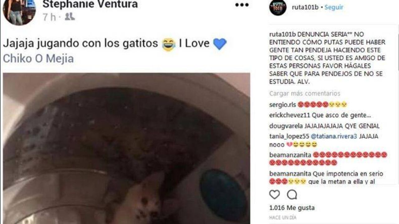 A través de una denuncia en redes sociales pudo divulgarse este nuevo caso de maltrato animal.