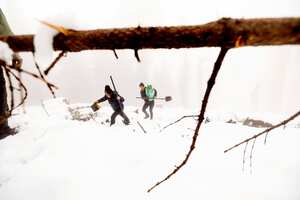 Kimi Green, izquierda, y Caryssa Rouser caminan por la nieve mientras plantan plántulas de secuoya durante una expedición del Archangel Ancient Tree Archive, el martes 26 de octubre de 2021, en Sequoia Crest, California. Foto AP / Noah Berger
