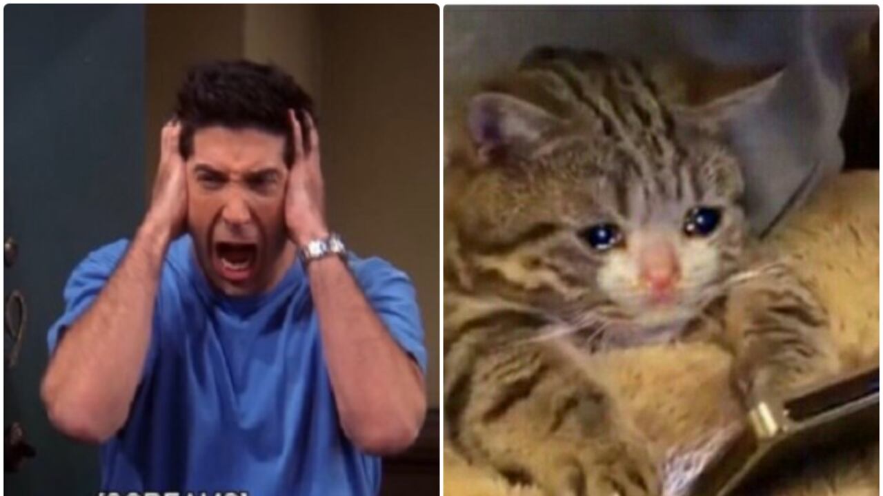 Icfes: Los divertidos memes tras conocerse resultados de las pruebas Saber 11