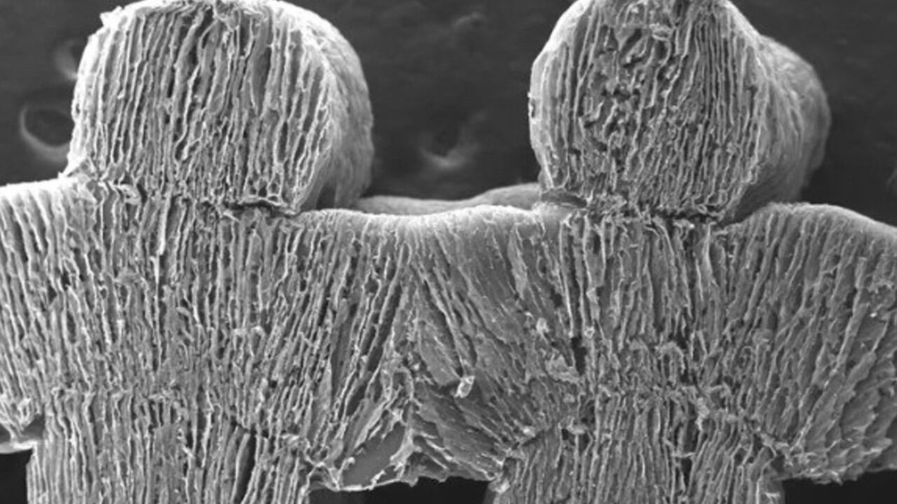 No se trata de una cadena de papel, sino de un material impreso en 3D que absorbe el agua del mar y la purifica convirtiéndola en agua sin sal.