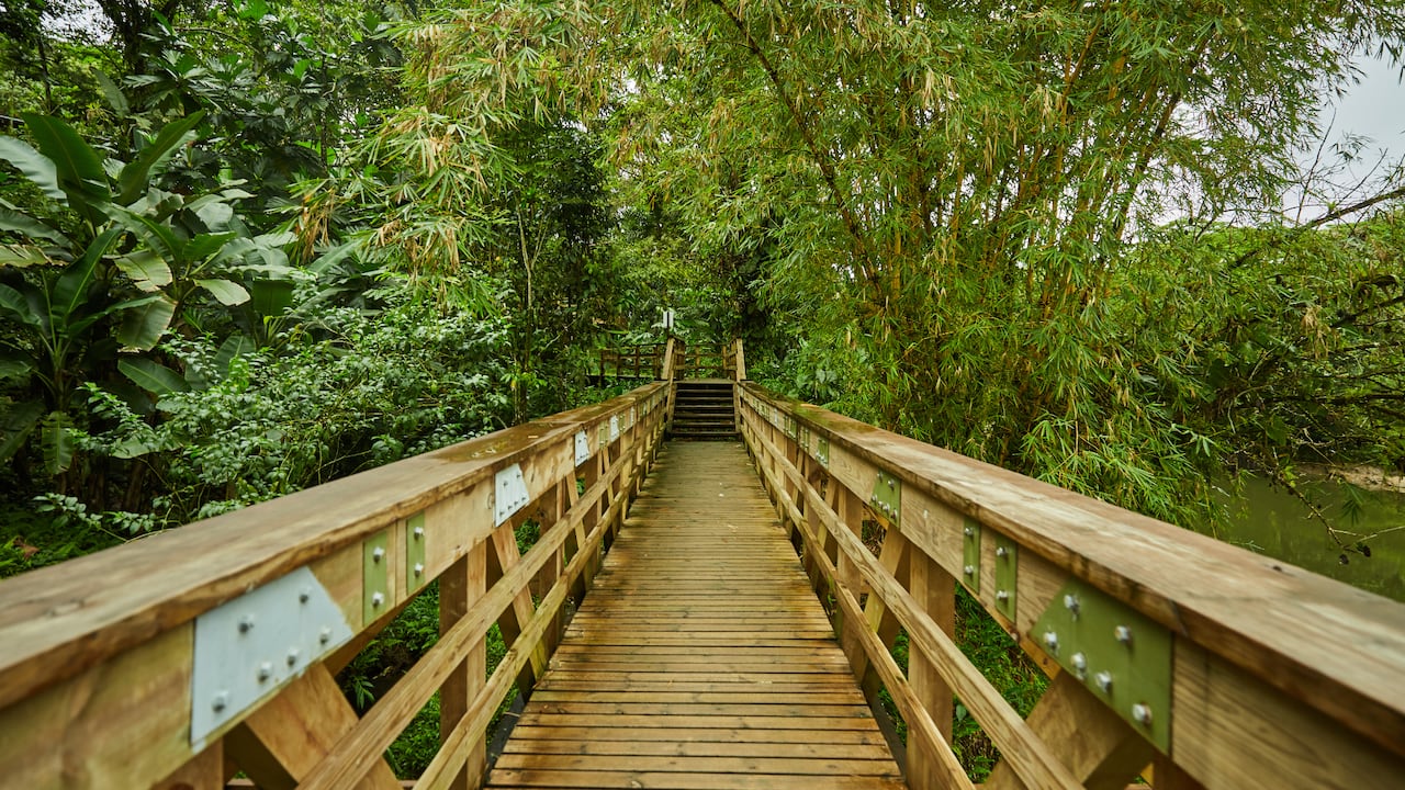 En Quibdó los planes van desde los recorridos a sitios históricos y emblemáticos del municipio, hasta escapadas en medio de la naturaleza.
