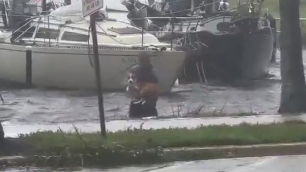 Este hombre corrió a un bote para salvar al perro.