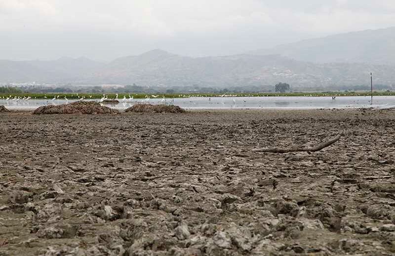 Laguna Sonso / Foto: Luis Ángel Murcia