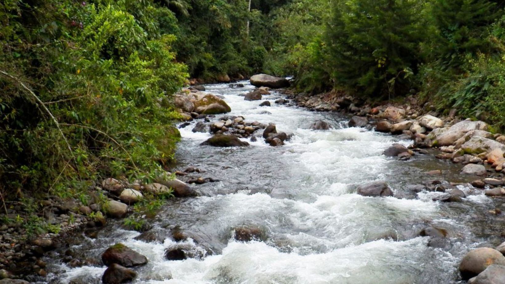 Seis bosques que debería visitar en Colombia para descubrir la inmensa riqueza natural del país
