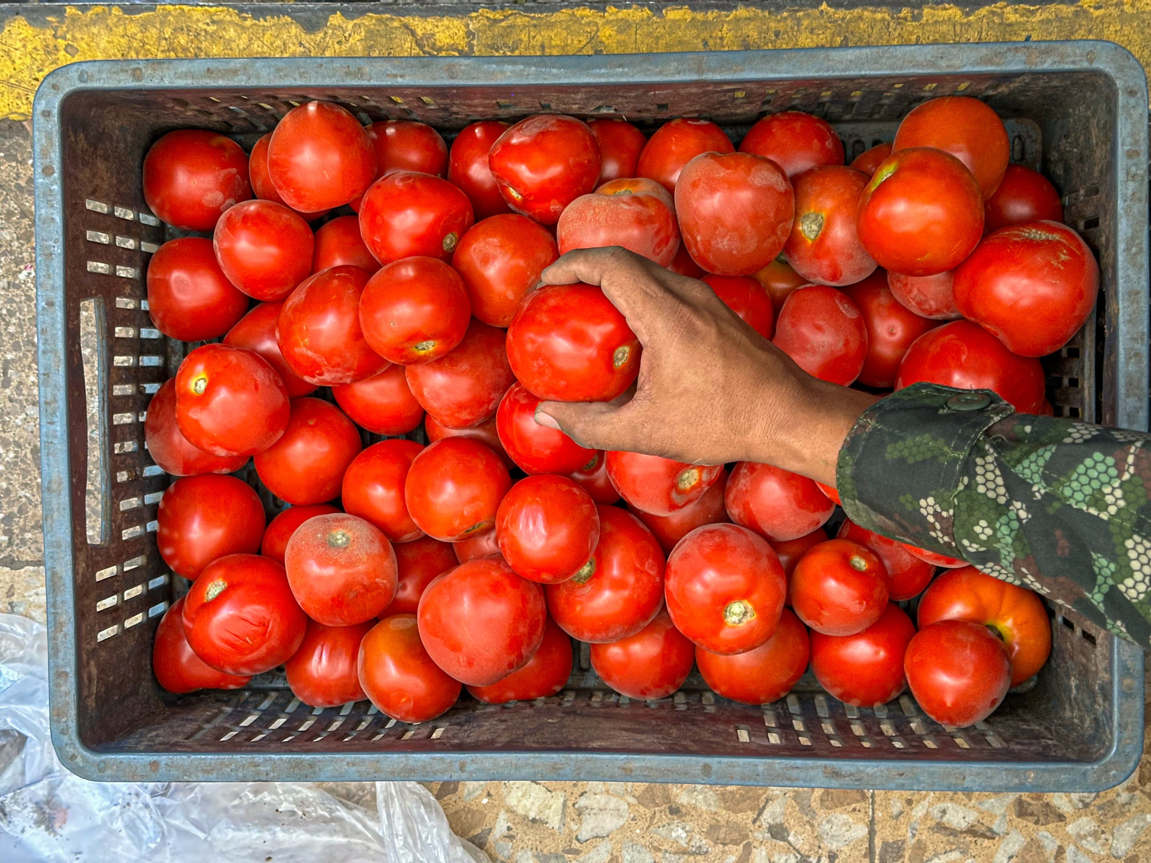 Entre las cosechas que ya llegaron del Cauca están estos tomates, que fueron comprados y comercializados en los supermercados La Montaña, en Cali.