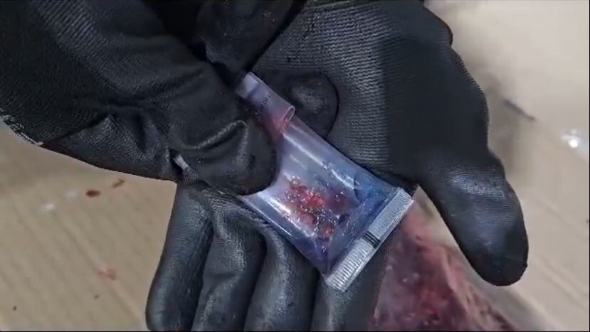 Al revisar la carga de frutas, la Policía encontró cocaína.