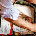 El animal 'viajó' desde Latinoamérica hasta Europa (imagen de referencia).